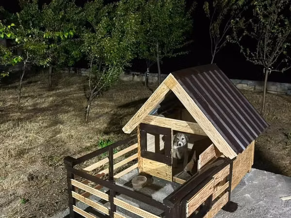 Açıq hava üçün taxta it evi – eyvanlı model - Material: möhkəm taxta