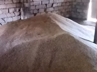 Məhsul: Quru buğda samanı üyüdülmüş (darıyığının xırdalığına bənzər — foto 1