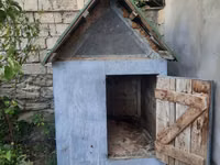 Goyercin yuvasi 30dene rahat tutur — foto 2