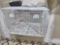 Iki yerlik qəfəslər agıllı yem qabı yuvayla birgə 20 man,tək iki — foto 5