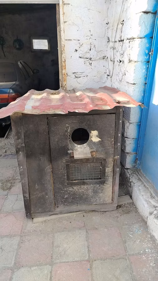 Taxta göyərçin daxması / quşxana - Material: qalın taxta karkas, iç