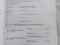Koń, Russian Trotter — zdjęcie 3