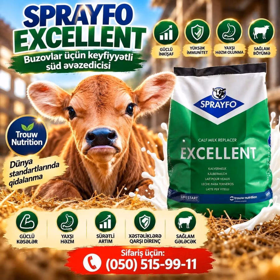SPRAYFO Exellent – Buzovlar üçün quru süd / süd / süd qurusu / buzov