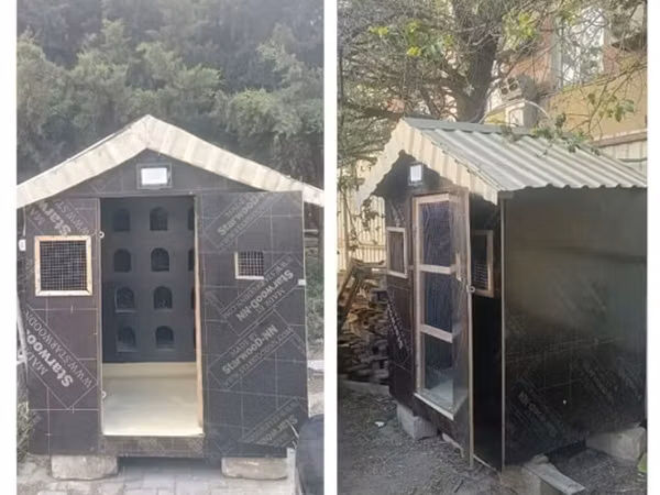 Quş yuvası Bahali diklerden bahali meterialdan yiqilib zehmet haqqi