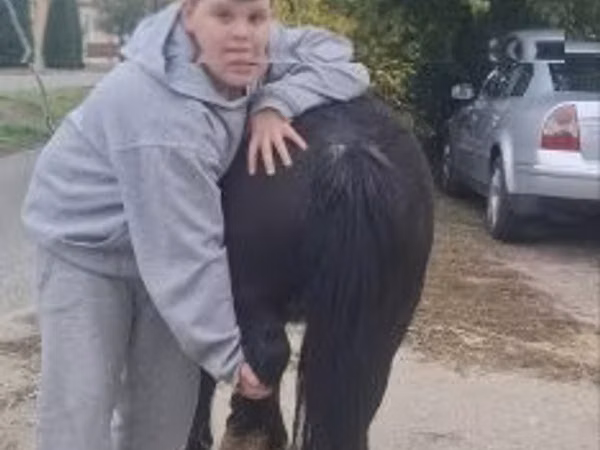 母马, Horses