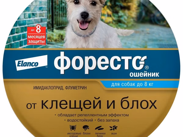 Ошейник для собак Форесто, пользовались меньше месяца