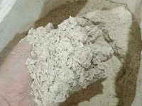 Мучка рисовая — foto 1