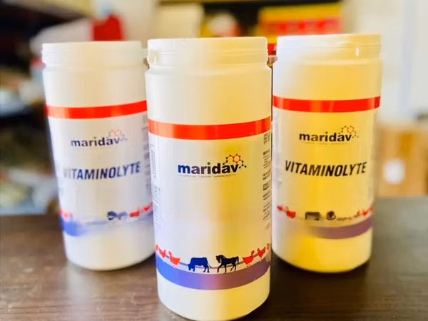 Vitaminolyte