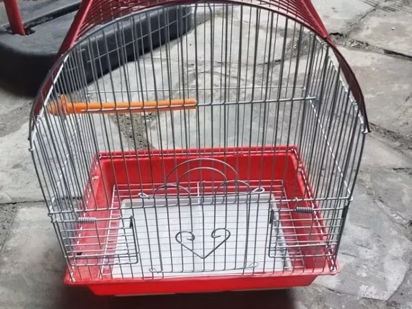 Միջին չափի թռչունի վանդակ