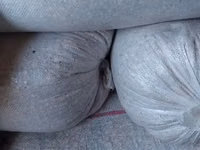 Вынд пэпушои грыу орз тэрыцэ тюкури фын лицерие — photo 2