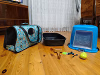 Ev pişiyi üçün aksesuar dəsti KOMPLEKT SATILIR !!! - Qapalı pişik — 照片 2