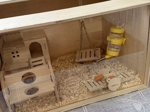 Taxta hamster evi və aksesuar dəsti / 2 balaca hamster (2 ayliq,hər