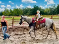 雌馬, Quarter Horse — 写真 6