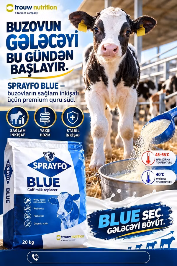 SPRAYFO BLUE – Buzovlar üçün quru süd /süd/quru süd/ süd