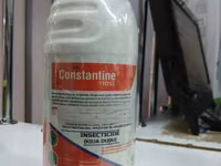 Constantine 110sc Insecticide 1l — Foto 3