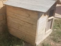 Taxta it evi / dam - Material: qalın taxta karkas, taxta obşivka - — புகைப்படம் 4