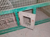 Quşlar üçün iri ölçülü qəfəs. Metal tor və yaşıl rəngli möhkəm — photo 3