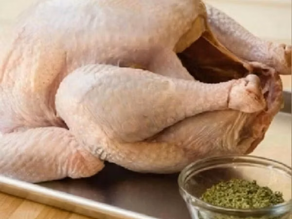 Chickens — Russia