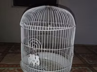 Ağ rəngli dairəvi quş qəfəsi - Material: metal telli korpus, plastik — foto 1