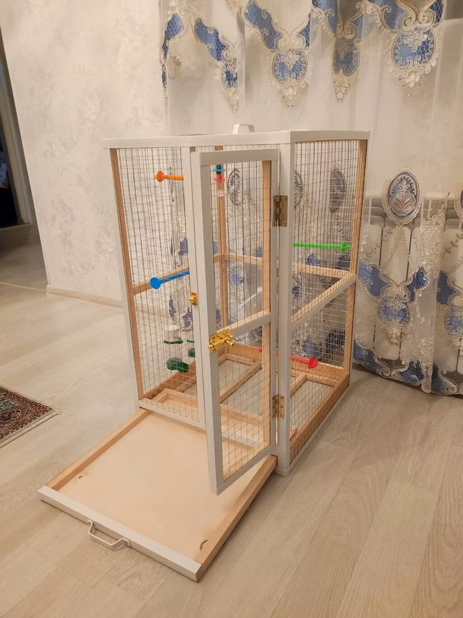 Papuqay,dovşan,hamster,şinşila,bildirçin,cücə,xamyak,pişik,quş,tısbağa