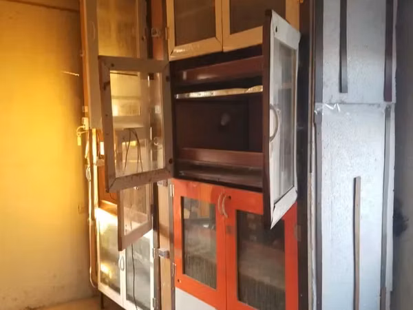 Բրուդեր թռչունների համար Брудер