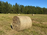 Сено в рулонах — сүрөт 4