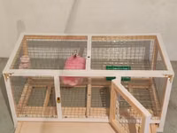 Dovşan,cücə,pişik,hamster,quş ve s kimi ev heyvanlari üçün qəfəsler — foto 5