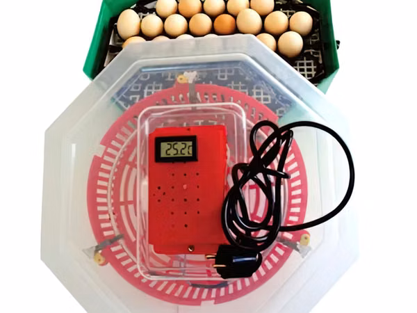 Incubator cu dispozitiv de intoarcere oua si termometru cleo5dt/ inc3 / livrare / garantie 2 ani