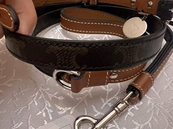 Orijinal Celine Triomphe it dizaynlı it üçün qoşqu və zəncir dəsti -