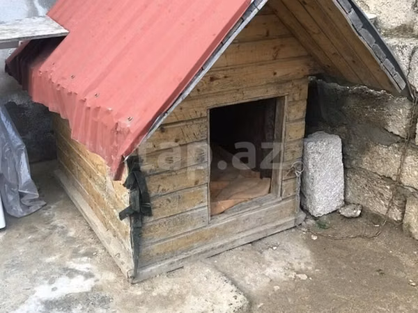 Taxta it evi - Material: qalın taxta karkas, ikiqat qırmızı