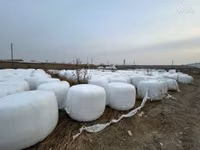 Սիլոս կուկուռուզի, Գարու սալոմ — الصورة 1