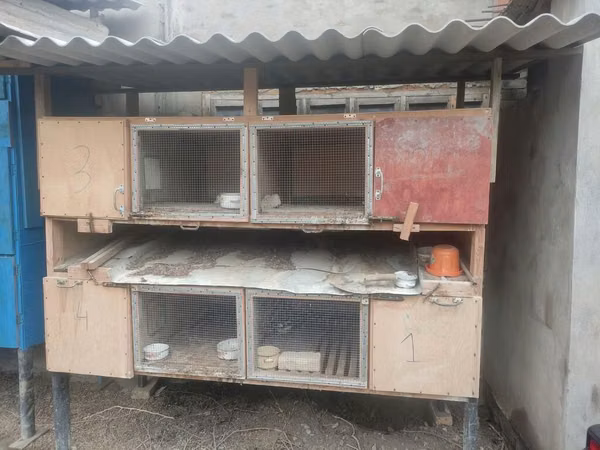 Satırm 150.300.350.400