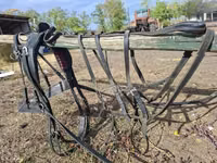 Egyes lószerszám — Foto 1