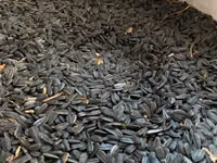 Թութակի կերեր/Parrot food/Корм для попугаев — Foto 3