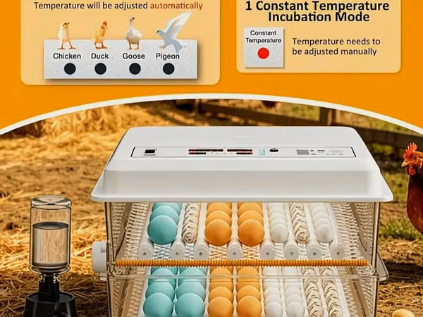 120 yumurtalı, ikiqat enerji mənbəli inkubator - 5 çıxartma rejimi: 4