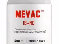 3rd Newcastle Vaccine + Infectious Bronchitis — Foto 1