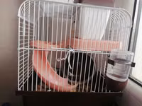 Hamster üçün tam dəst qəfəs - Material: möhkəm metal barmaqlıqlar və — 照片 2
