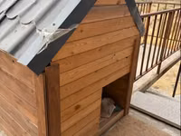 Փայտե տնակ շան համար — zdjęcie 3