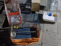 Qəfəsler 25-35 azn — Foto 4