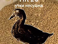Полнорационный Корм для Уток, Гусей — foto 2