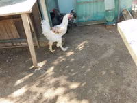 براهما — الصورة 2