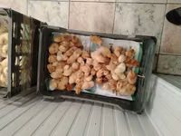 روس 308 — الصورة 2