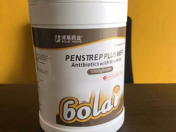 Penstrep Plus Antibiotic Vitamins