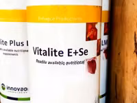 Vitalite E+Se (Poultry Medication) — Foto 1