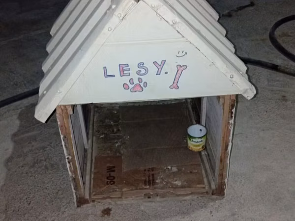 İt evi (künc damlı) - Material: taxta karkas, üstü rənglənmiş