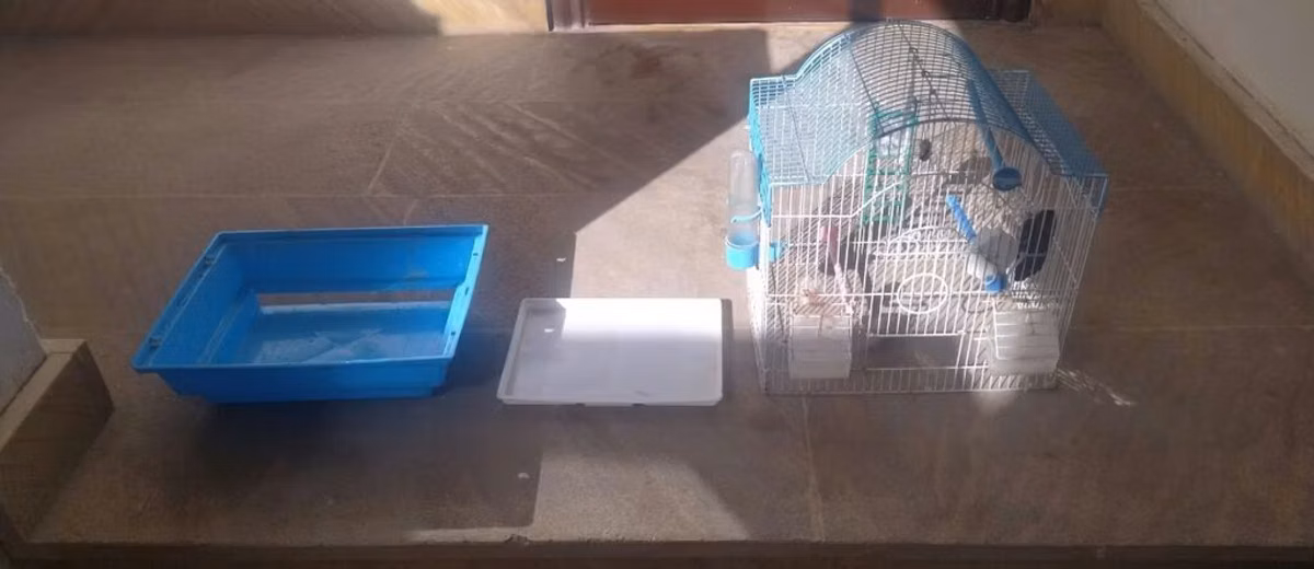 Kiçik quş qəfəsi, mavi rəngli, içərisində yem qabı var. Qəfəslə