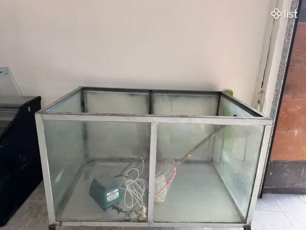 Ակվարիում լավ վիճակում