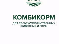 Корма — сүрөт 3