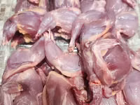 Quails — الصورة 4