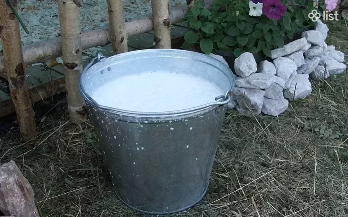 Կաթ, անարատ, կաթնամթերք